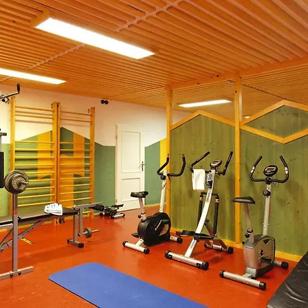 Ferienland Stubai Fulpmes Otr04519 Cyb Apartment